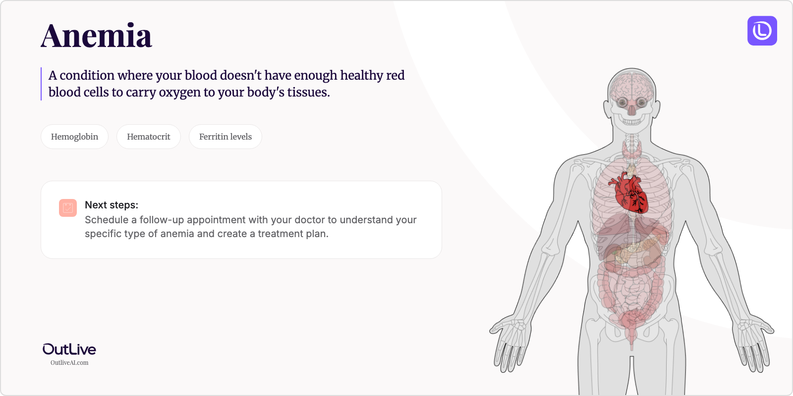 Just Diagnosed with Anemia: A Simple Guide