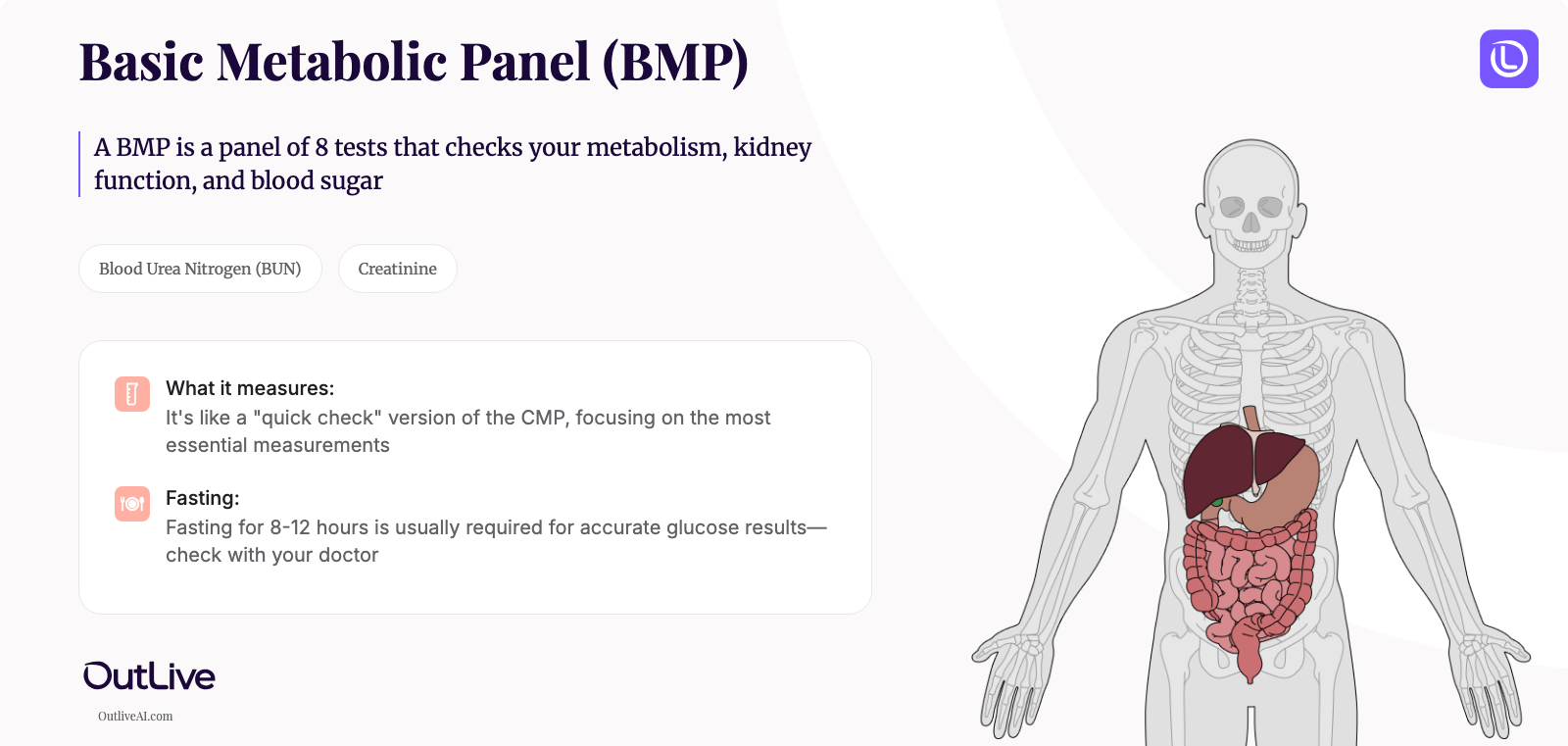 A Simple Guide to the Basic Metabolic Panel (BMP) Test
