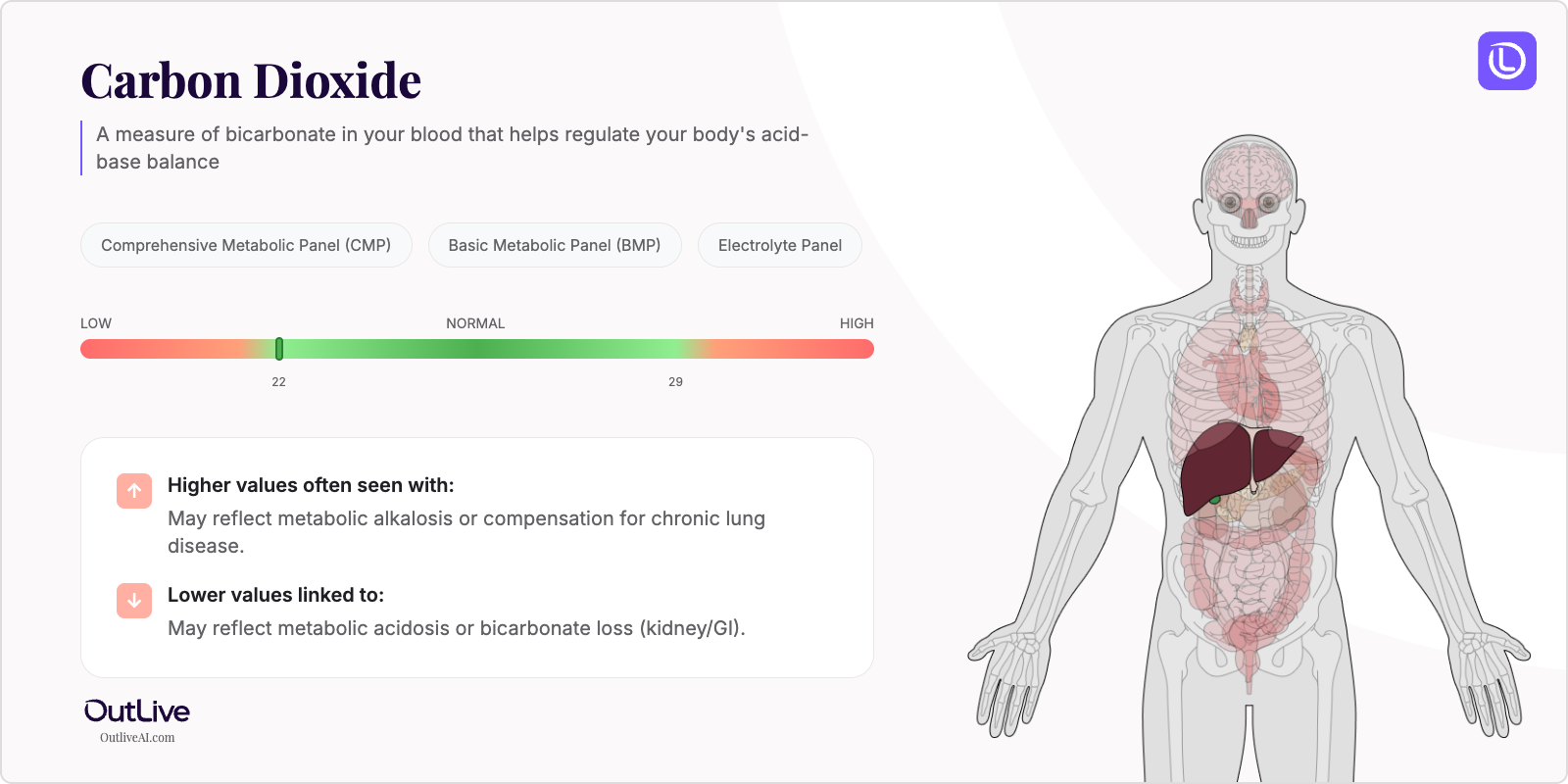 Understanding Your Carbon Dioxide (Bicarbonate) Test Results