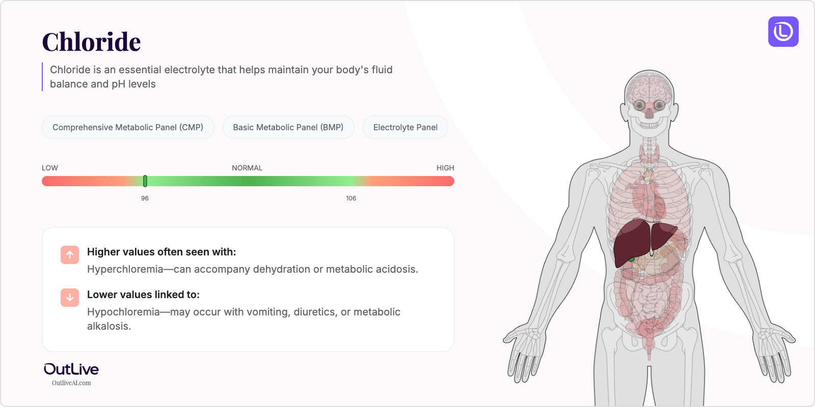Understanding Your Chloride Test Results