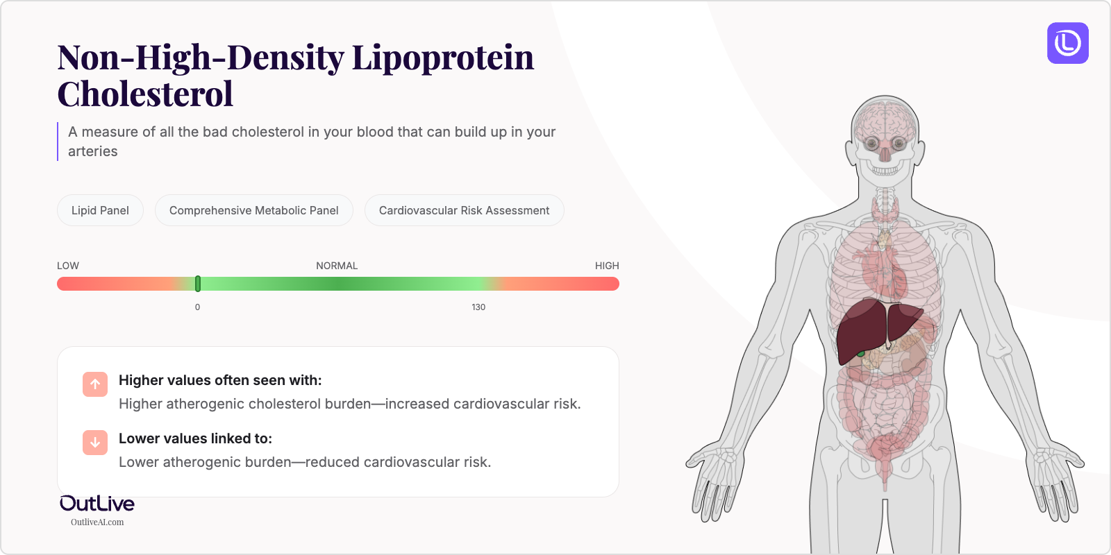 Understanding Your Non-HDL Cholesterol Test Results