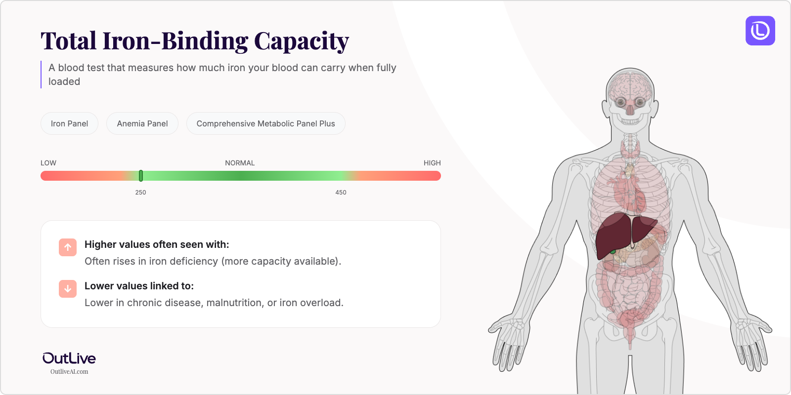Understanding Your TIBC Test Results