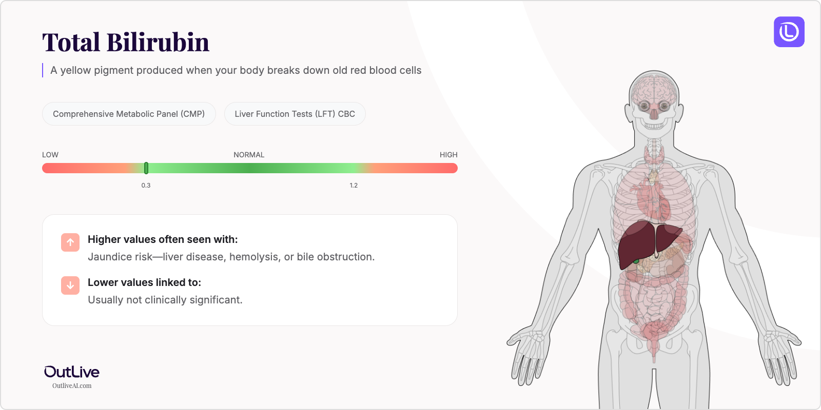 Understanding Your Bilirubin Test Results