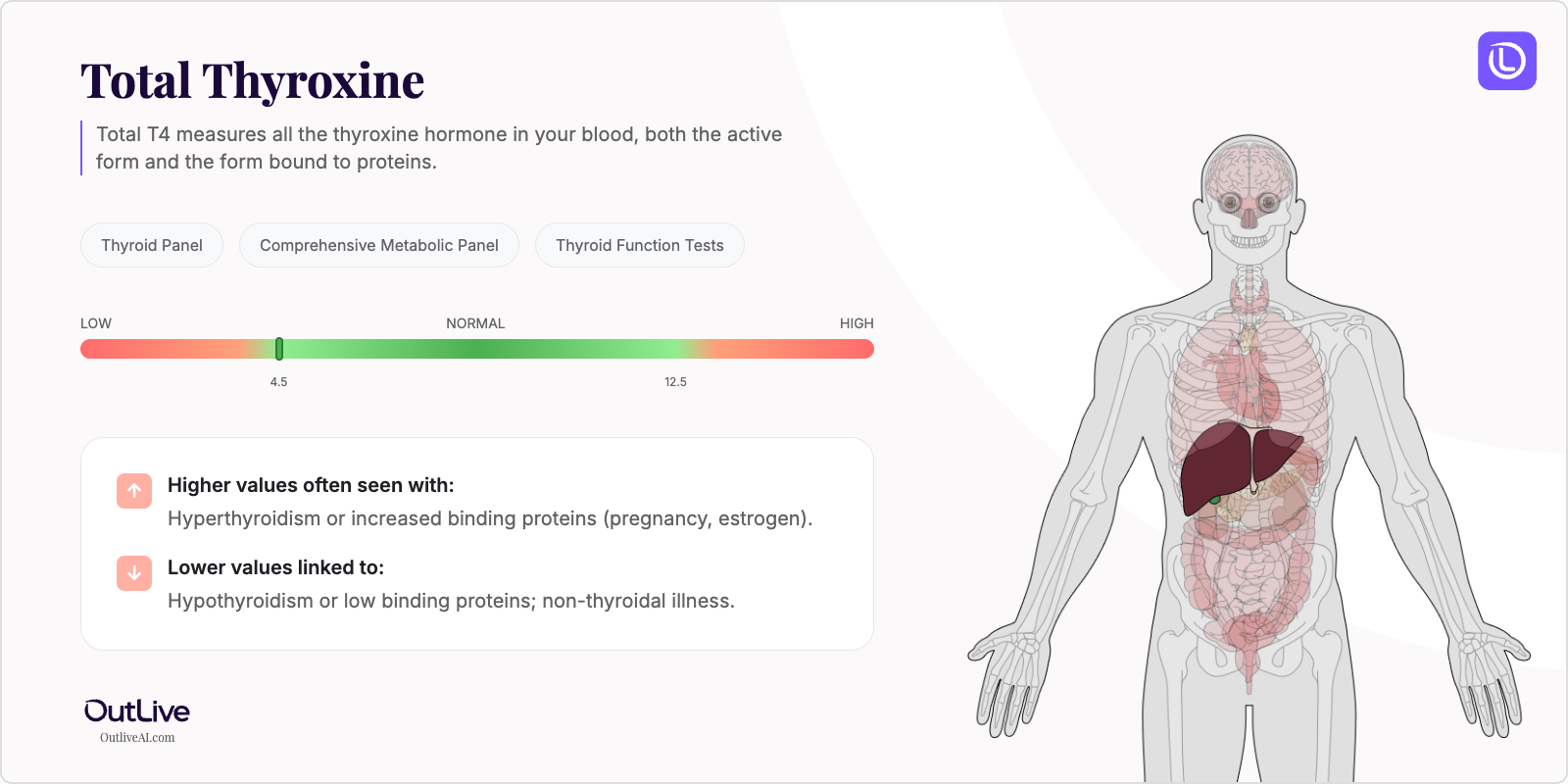Understanding Your Total T4 Test Results