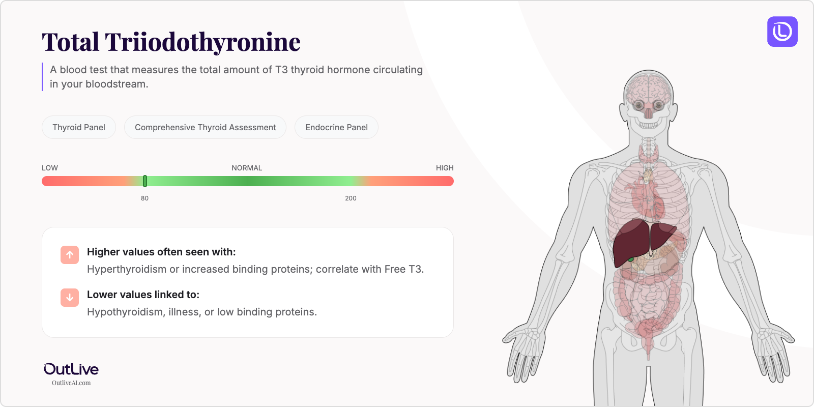 Understanding Your Total T3 Test Results