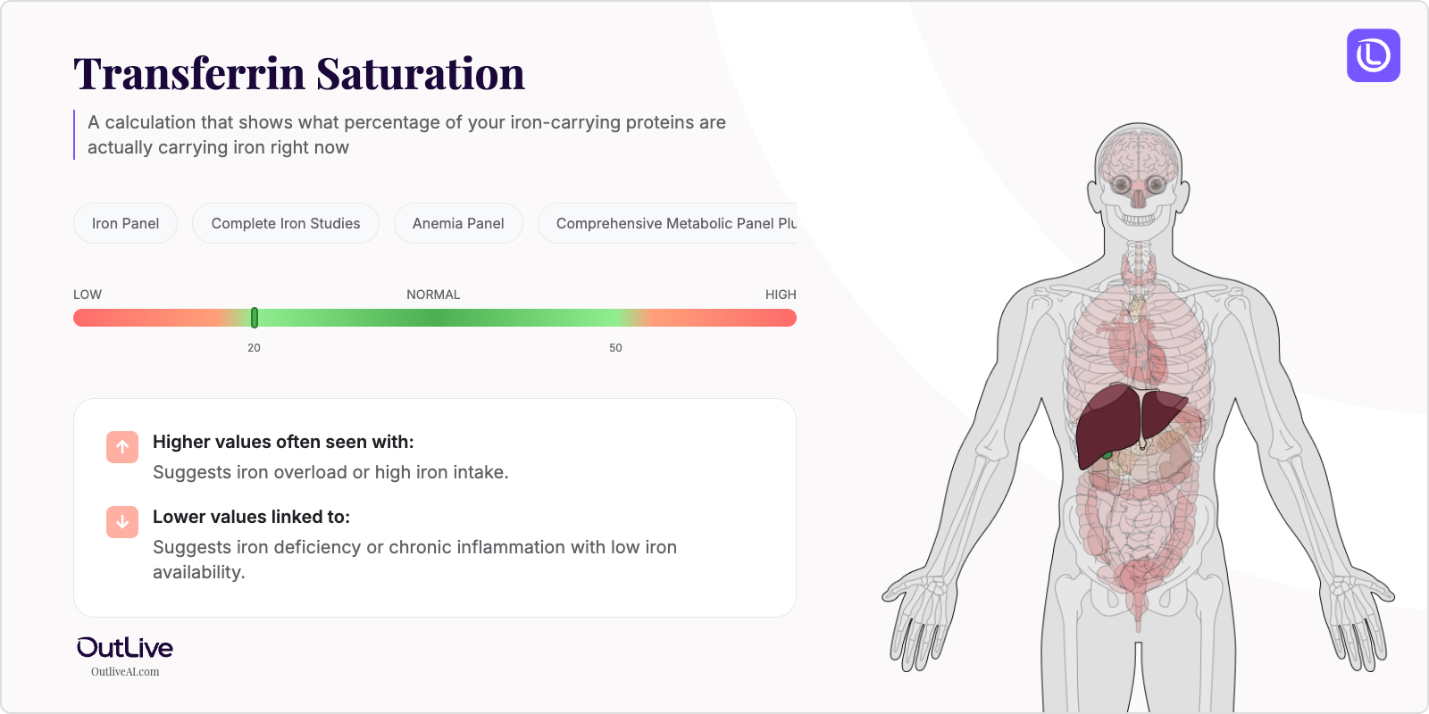 Understanding Your Transferrin Saturation Test Results