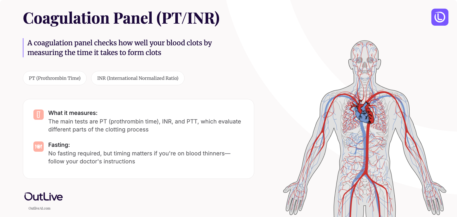 A Simple Guide to the Coagulation Panel (PT/INR) Test