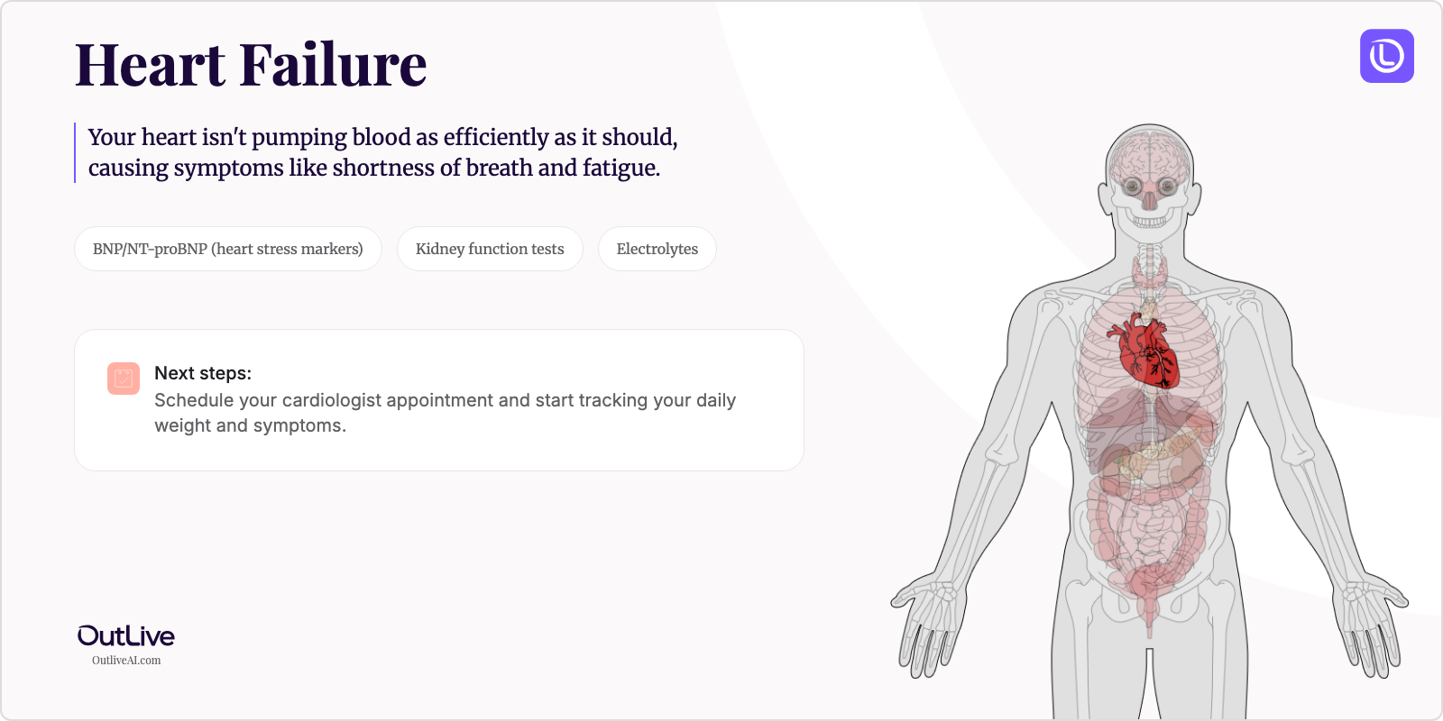 Just Diagnosed with Heart Failure: A Simple Guide
