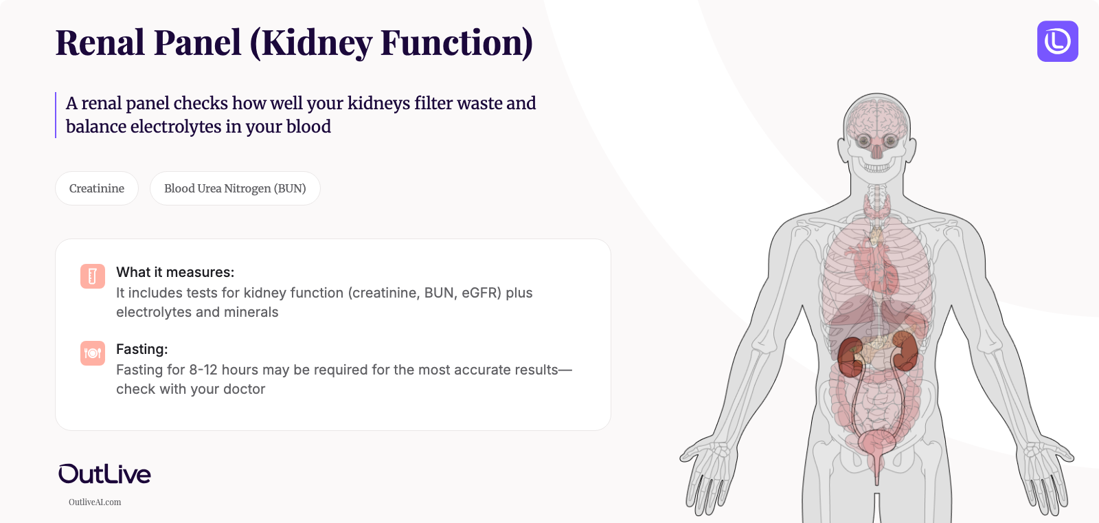 A Simple Guide to the Renal Panel (Kidney Function Panel) Test