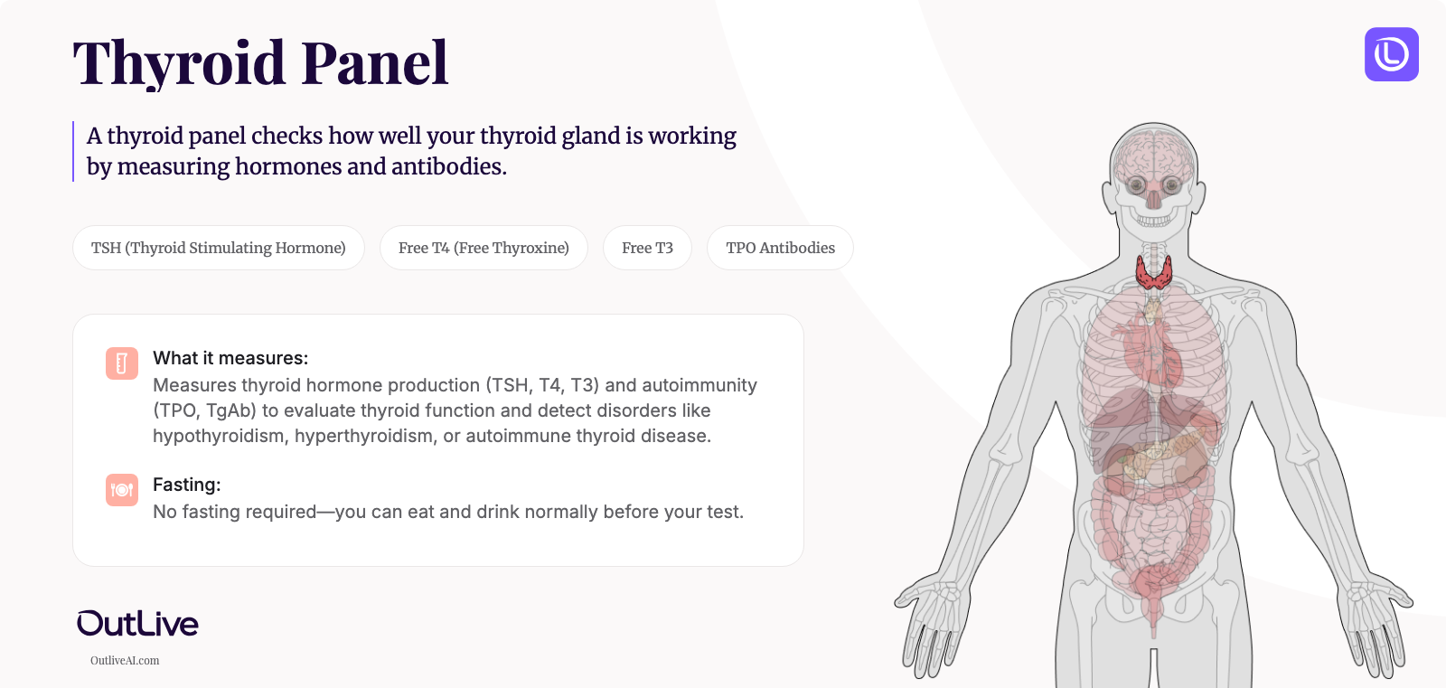 A Simple Guide to the Thyroid Panel Test